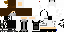 Texture for Ninja