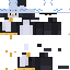 Texture for pengu