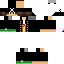 Texture for Steve