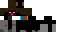 Texture for Ninja
