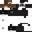 Texture for expatrick