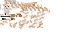 Texture for wolf_angry16