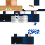 Texture for bear_britho