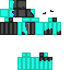 Texture for Heroi Bugado