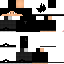 Texture for leo2