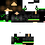 Texture for LAKER2
