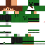 Texture for Creeper Noah2