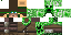 Texture for new creeper hunter