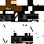 Texture for flypwz 5