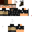 Texture for Steve