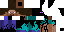 Texture for ender