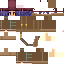 Texture for nikoink2