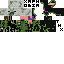 Texture for enderpig