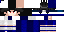 Texture for sasku