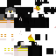 Texture for Electronit 