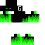 Texture for gabiboss