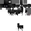 Texture for wraith
