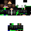 Texture for LeonMaximal