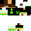 Texture for gabriel10