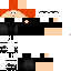 Texture for wyzemo3