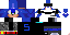 Texture for Sonic?