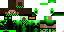 Texture for Max5