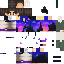 Texture for CosmosFlap