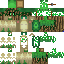 Texture for Woudlee_Turtle