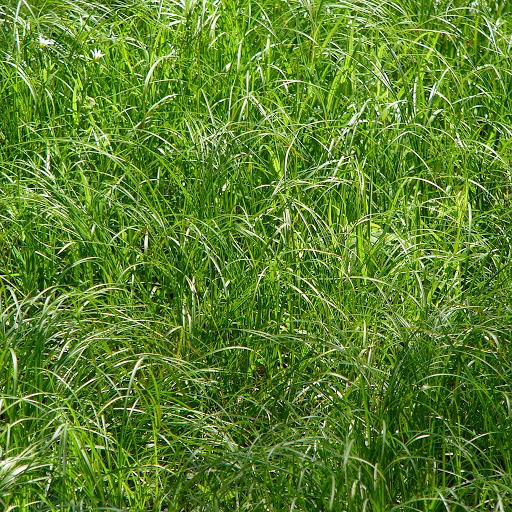 Texture for GARS von oben