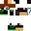 Texture for david654