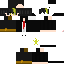 Texture for finn 