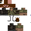 Texture for Roger