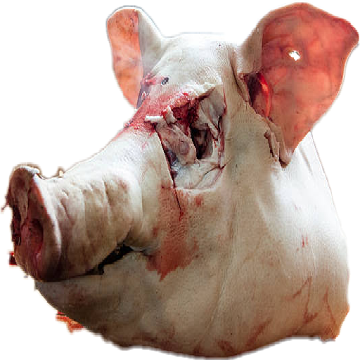 Texture for Pig head