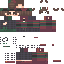 Texture for Steve