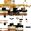 Texture for darklink