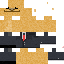 Texture for camel1$