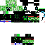 Texture for sCreeper1