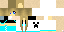Texture for blttlb2003 