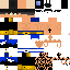 Texture for t1
