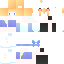 Texture for i_nor_pu2