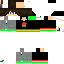 Texture for EulaV