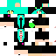 Texture for ds