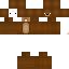 Texture for Bear