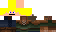 Texture for Spongboob123