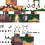 Texture for fox capa2