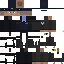 Texture for Security Guard