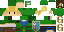 Texture for Link