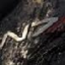 Texture for N7