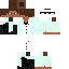 Texture for Steve