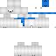 Texture for Bear_Polar